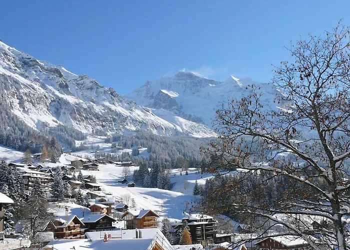 Panoramapark Soleil Haus D 3 By Interhome Apartment Wengen