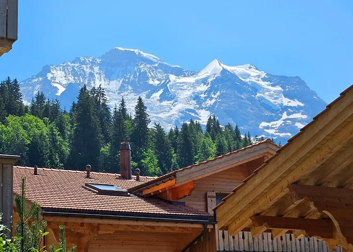 Panoramapark Soleil Haus D 3 By Interhome *