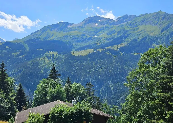 Apartment Panoramapark Soleil Haus D 3 By Interhome Wengen