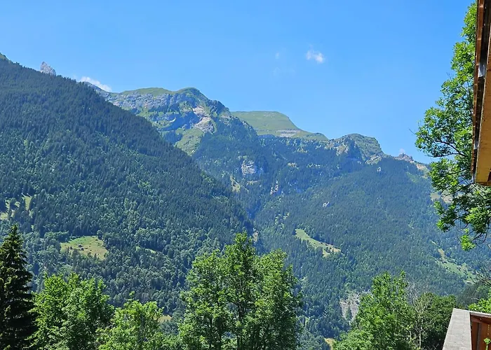 Panoramapark Soleil Haus D 3 By Interhome * Wengen