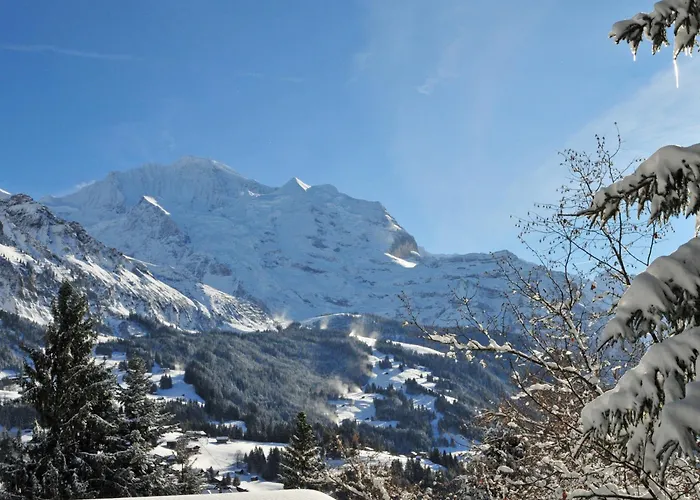 Panoramapark Soleil Haus D 3 By Interhome Apartment Wengen