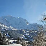 Panoramapark Soleil Haus D 3 By Interhome Appartement Wengen