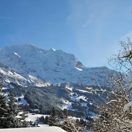 Panoramapark Soleil Haus D 3 By Interhome Apartment Wengen