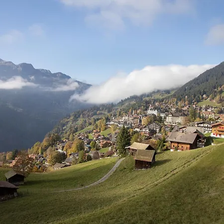 Panoramapark Soleil Haus D 3 By Interhome * Wengen